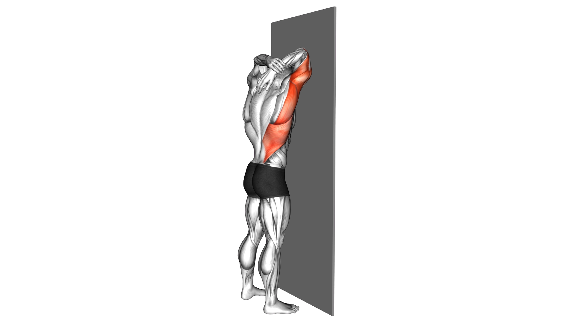 Standing Triceps Stretch against Wall exercise demonstration