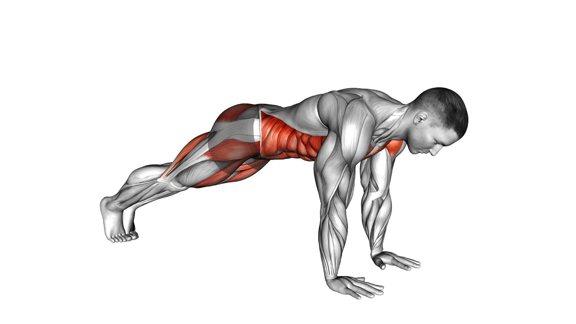 Plank Leg Lift Mountain Climber exercise demonstration