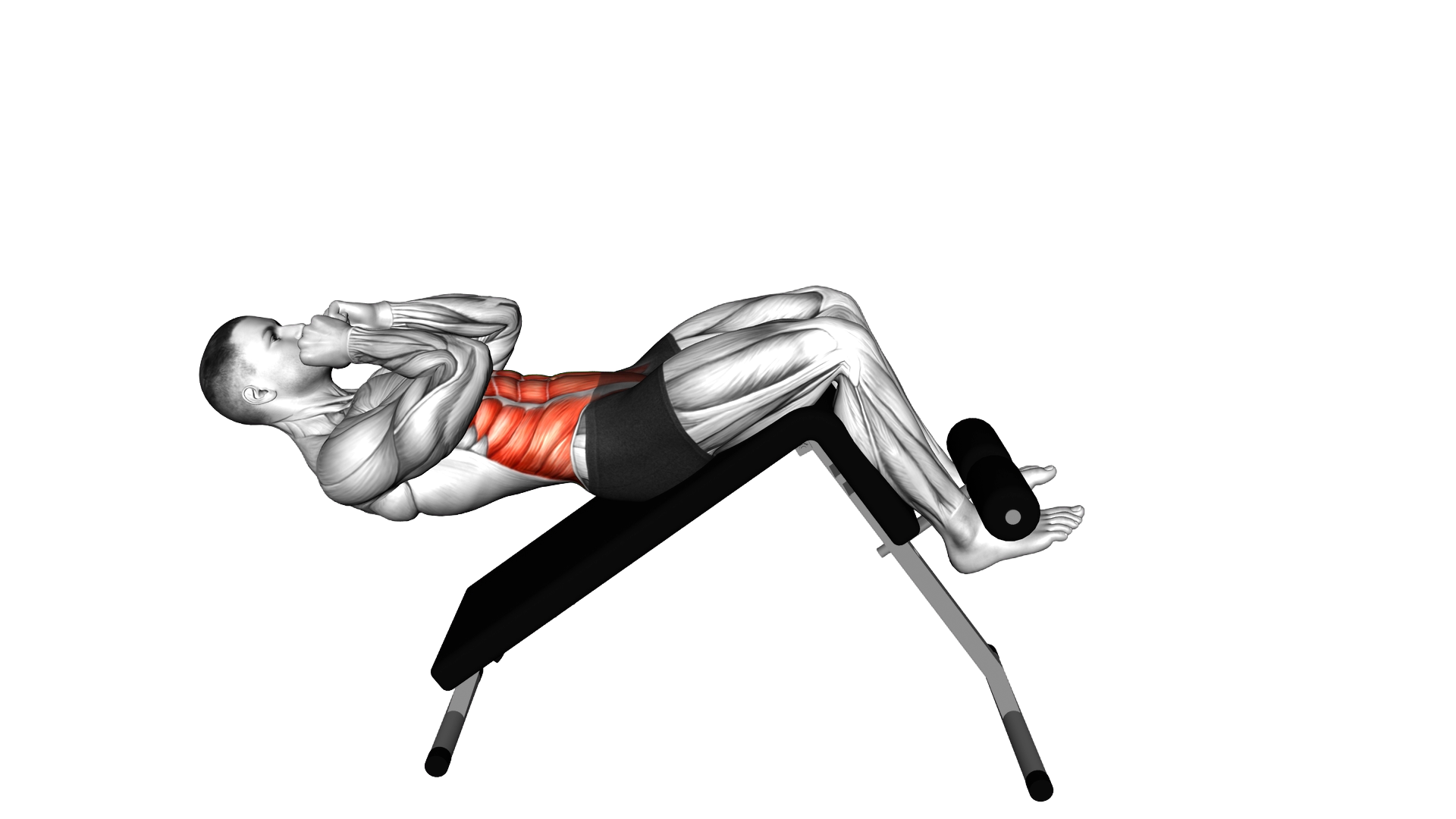 Decline Cross Sit up exercise demonstration