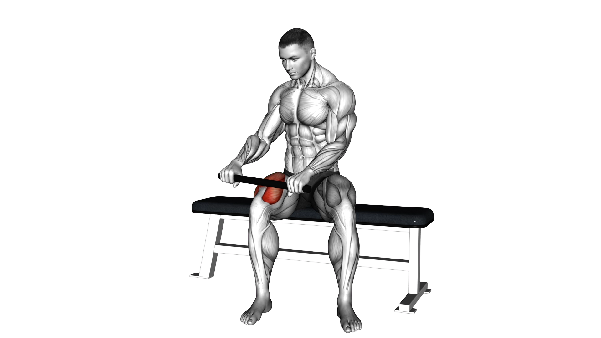 Stick Sitting Roll Leg exercise demonstration