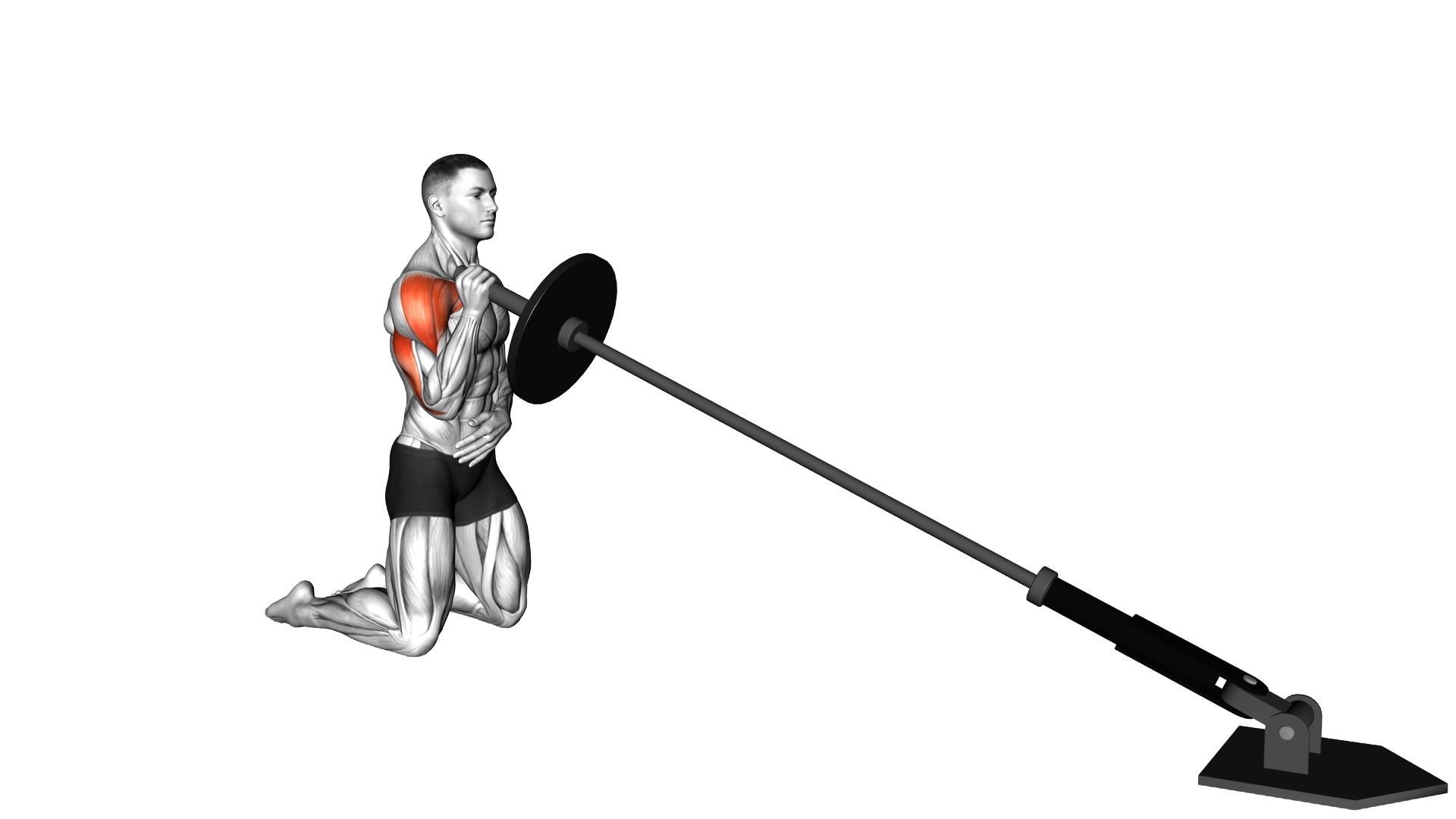 Landmine Kneeling Single Arm Shoulder Press exercise demonstration