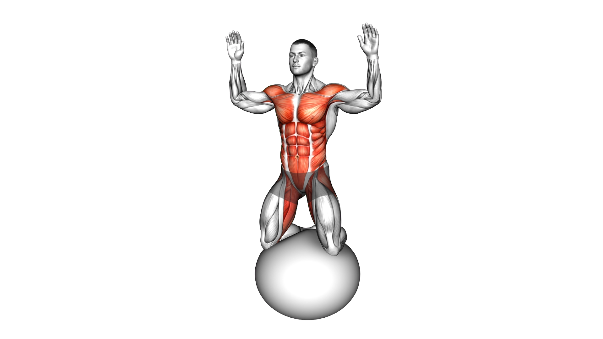 Kneeling Body Mobilization on Exercise Ball exercise demonstration