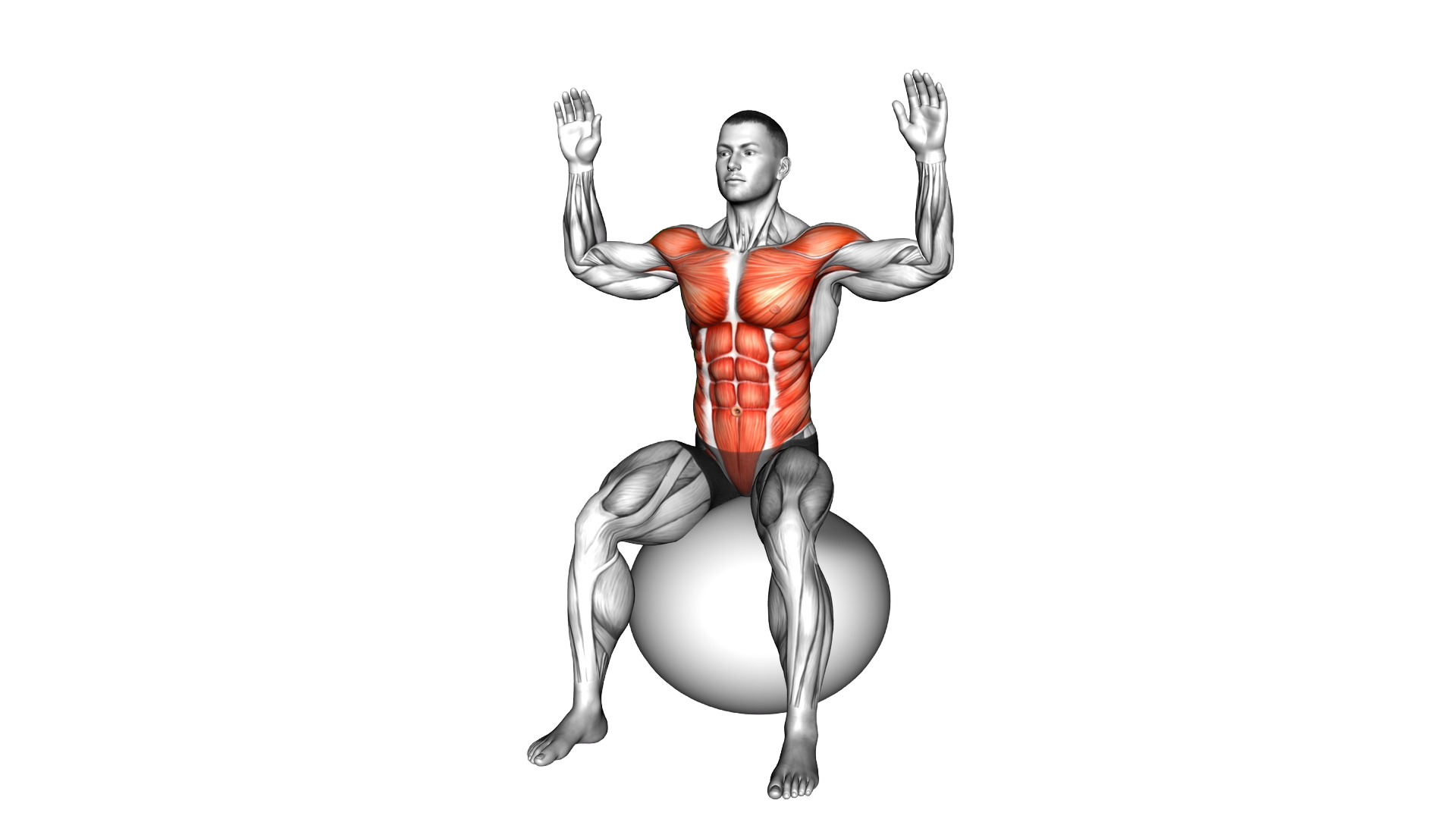 Sitting Body Mobilization on Exercise Ball exercise demonstration