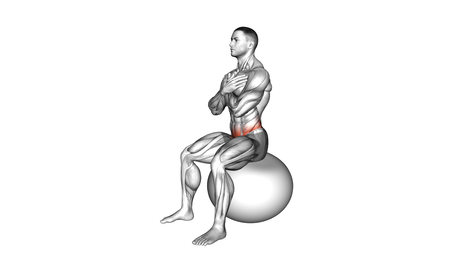 Sitting Hip Mobilization on Exercise Ball exercise demonstration