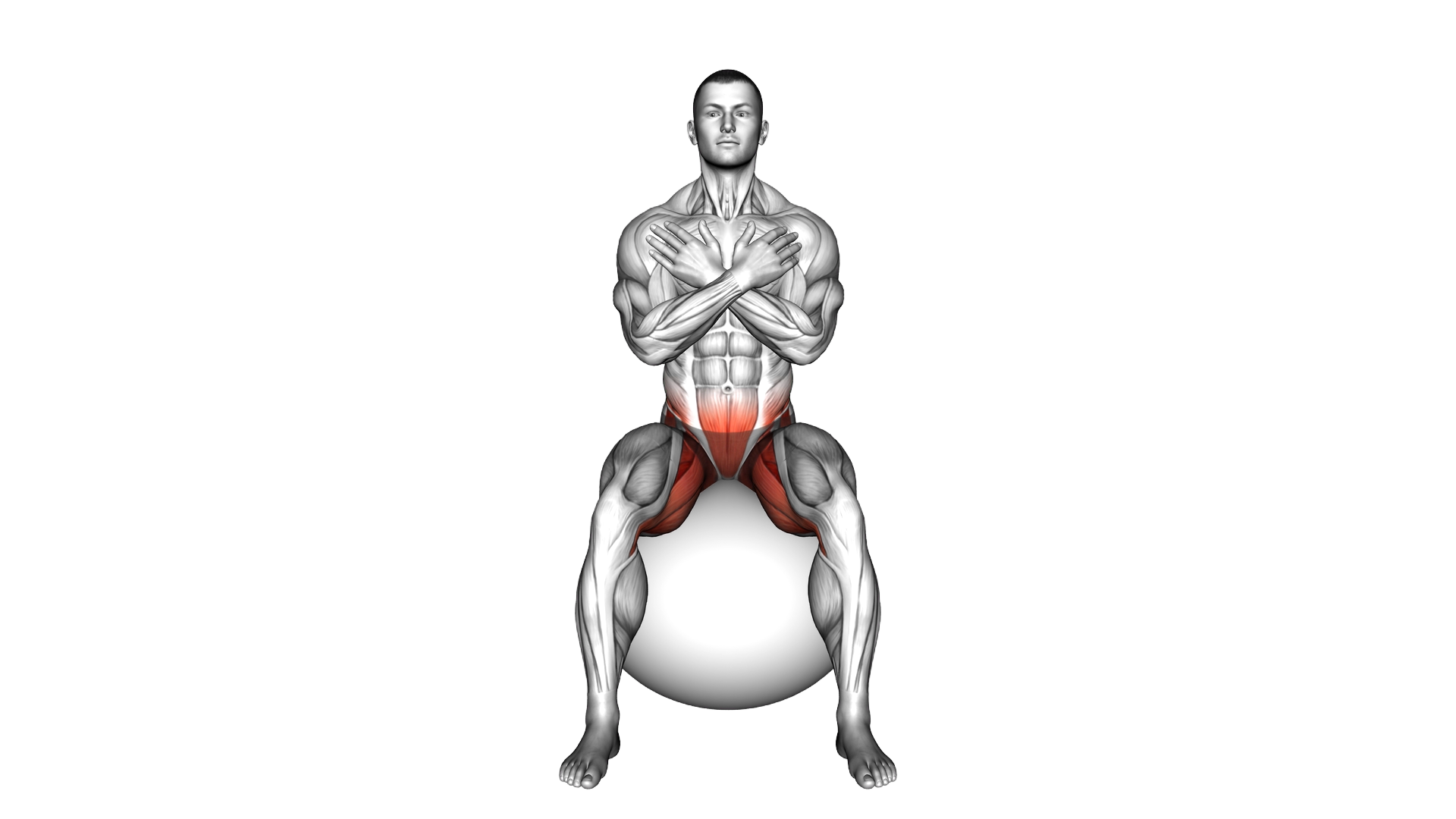 Sitting Hip Mobilization Circle on Exercise Ball ( exercise demonstration