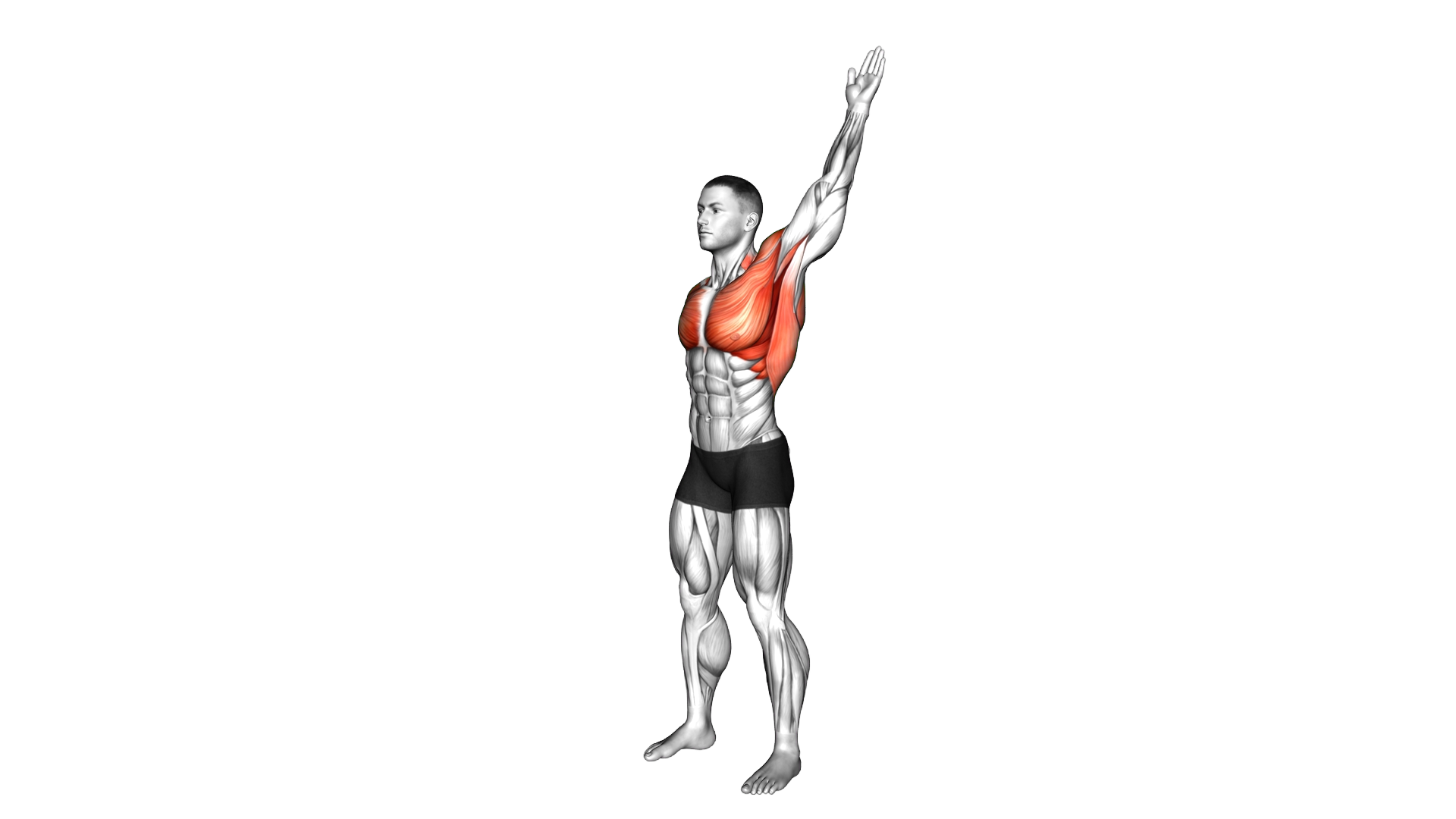Standing Alternating Arms Swing exercise demonstration