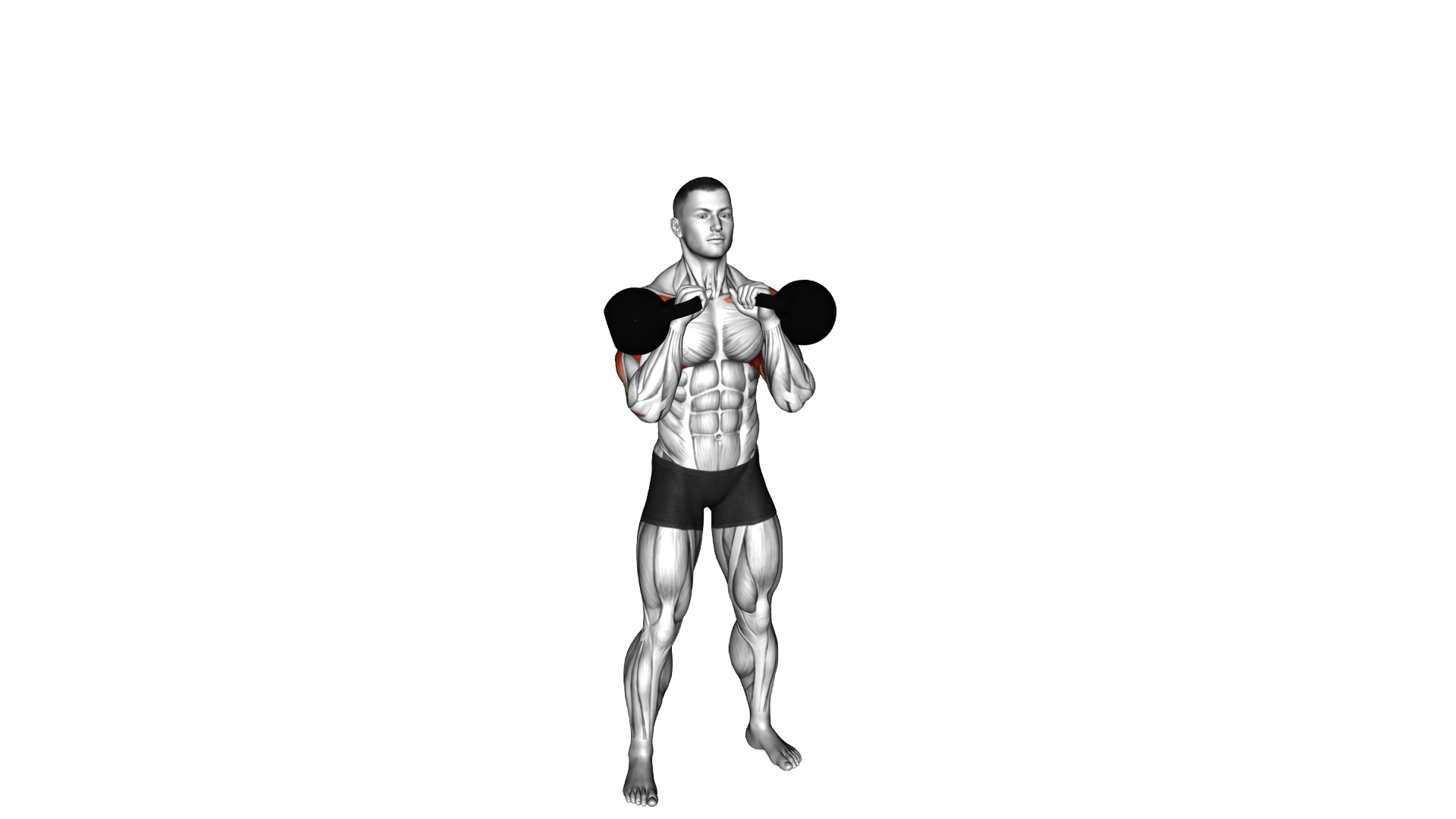 Kettlebell Double Strict Press exercise demonstration