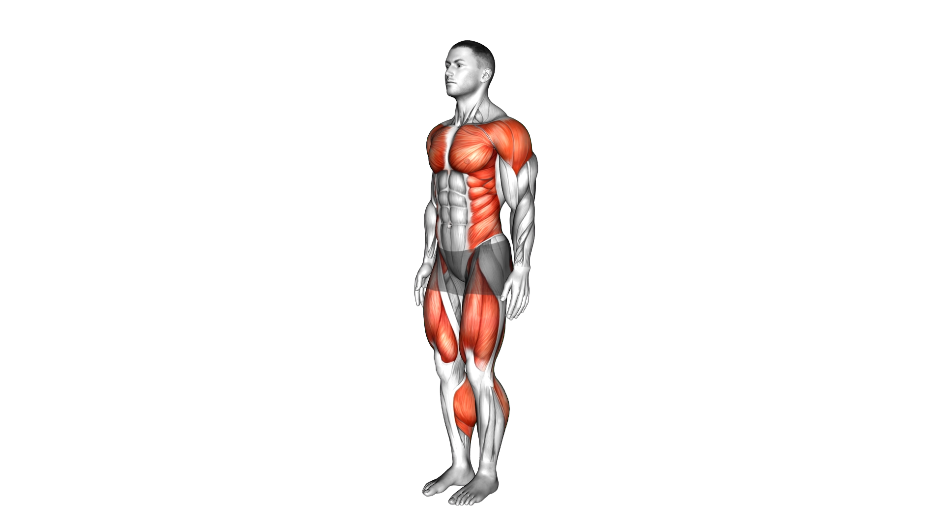 Marching On Spot Arms Swing exercise demonstration
