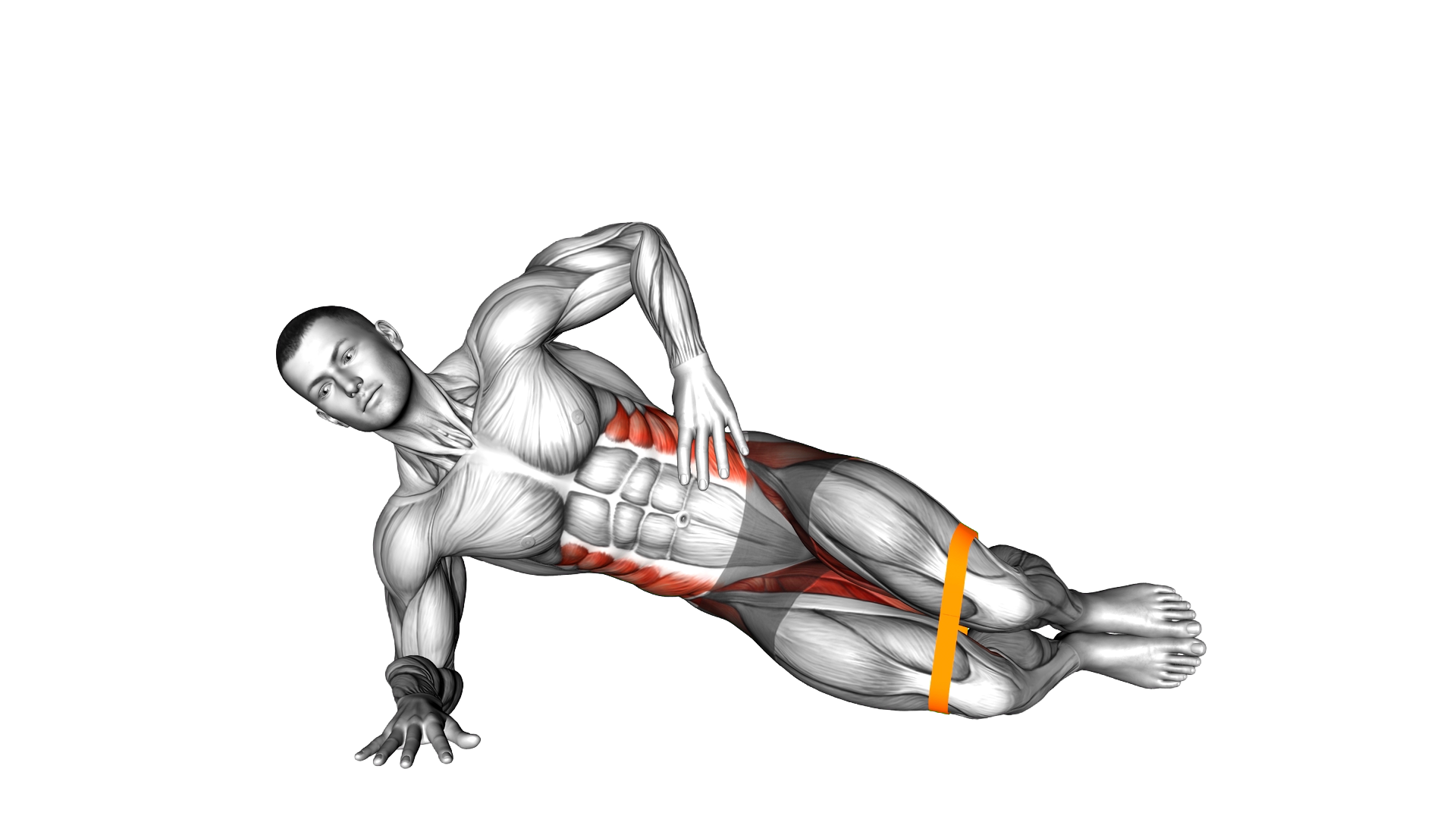 Resistance Band Side Plank Clamshell exercise demonstration