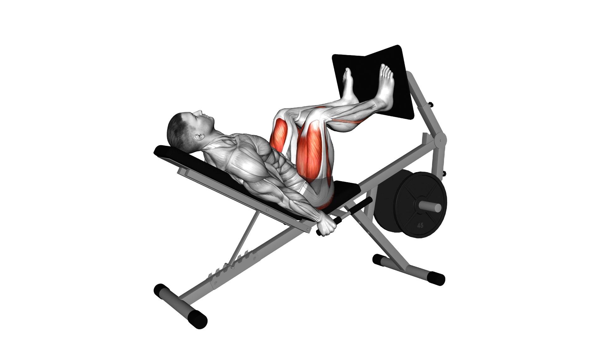 Lever Bench Leg Press exercise demonstration