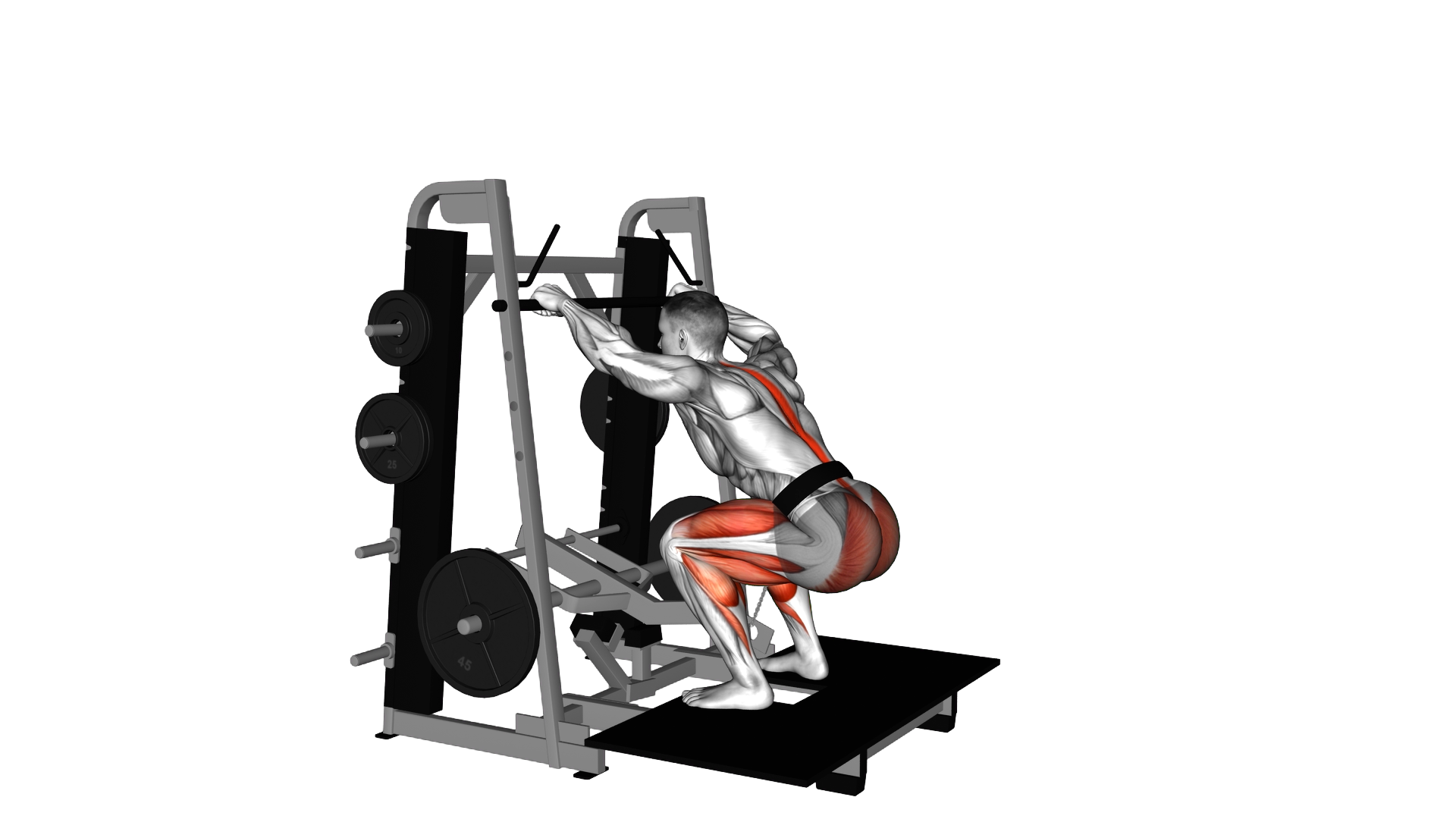 Lever Belt Deadlift exercise demonstration