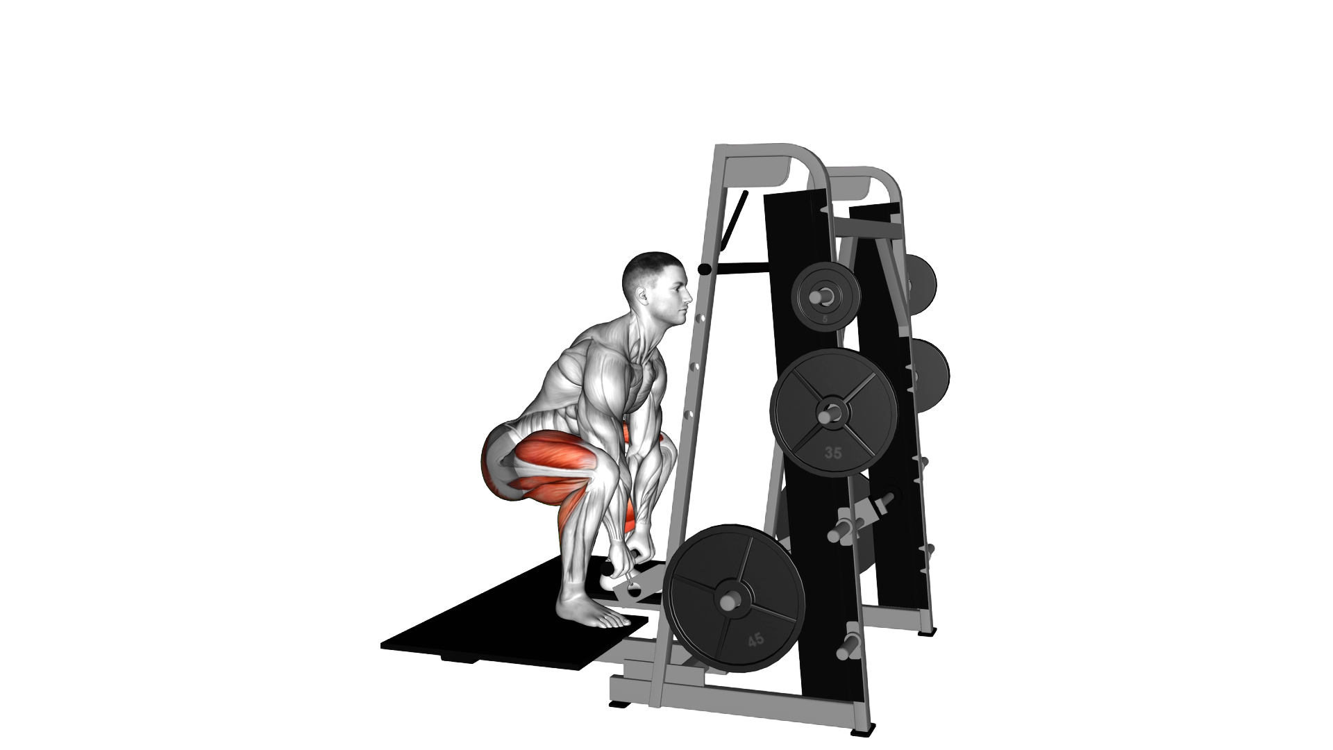 Lever Belt Deadlift (straight bar) exercise demonstration