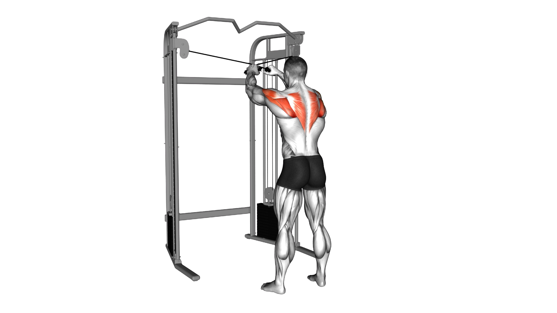 Cable 45 degrees Reverse Grip Reverse Fly exercise demonstration