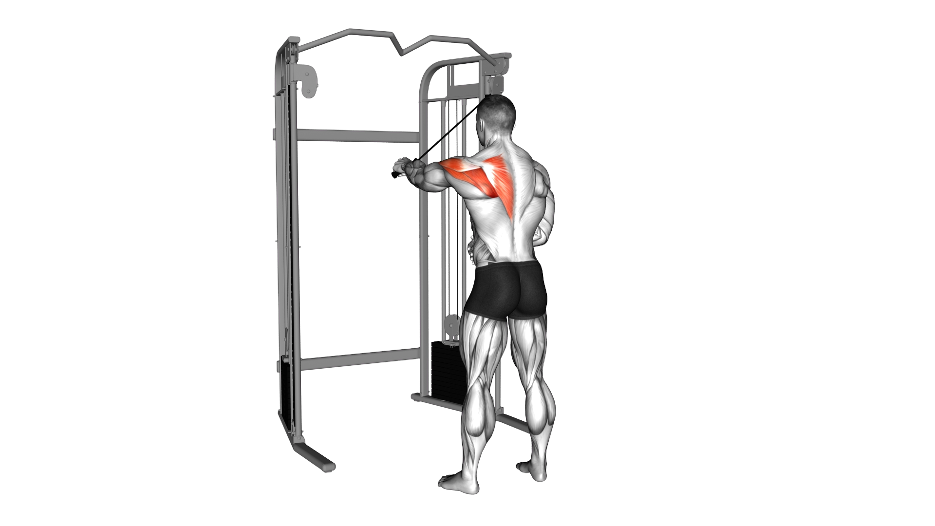 Cable 45 degrees Single Arm Reverse Fly exercise demonstration