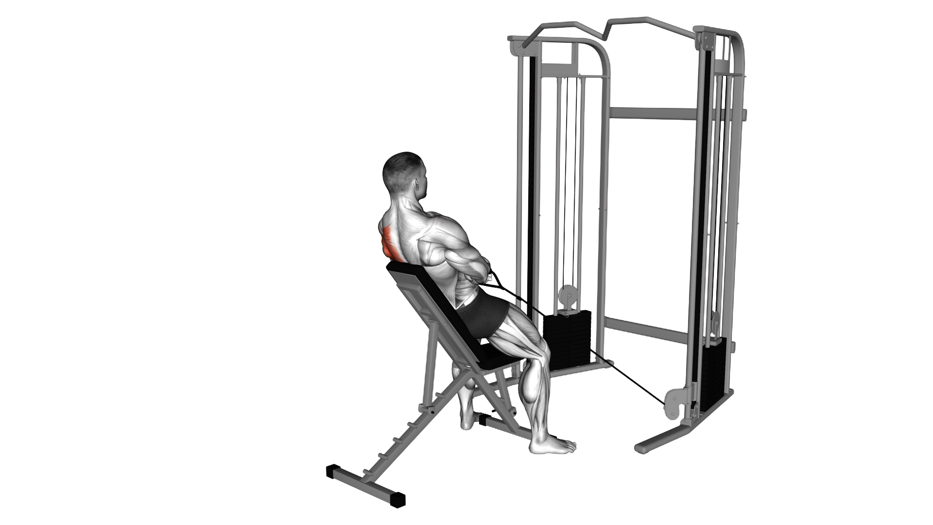Cable Incline Single Arm Y Raise with Back Support exercise demonstration