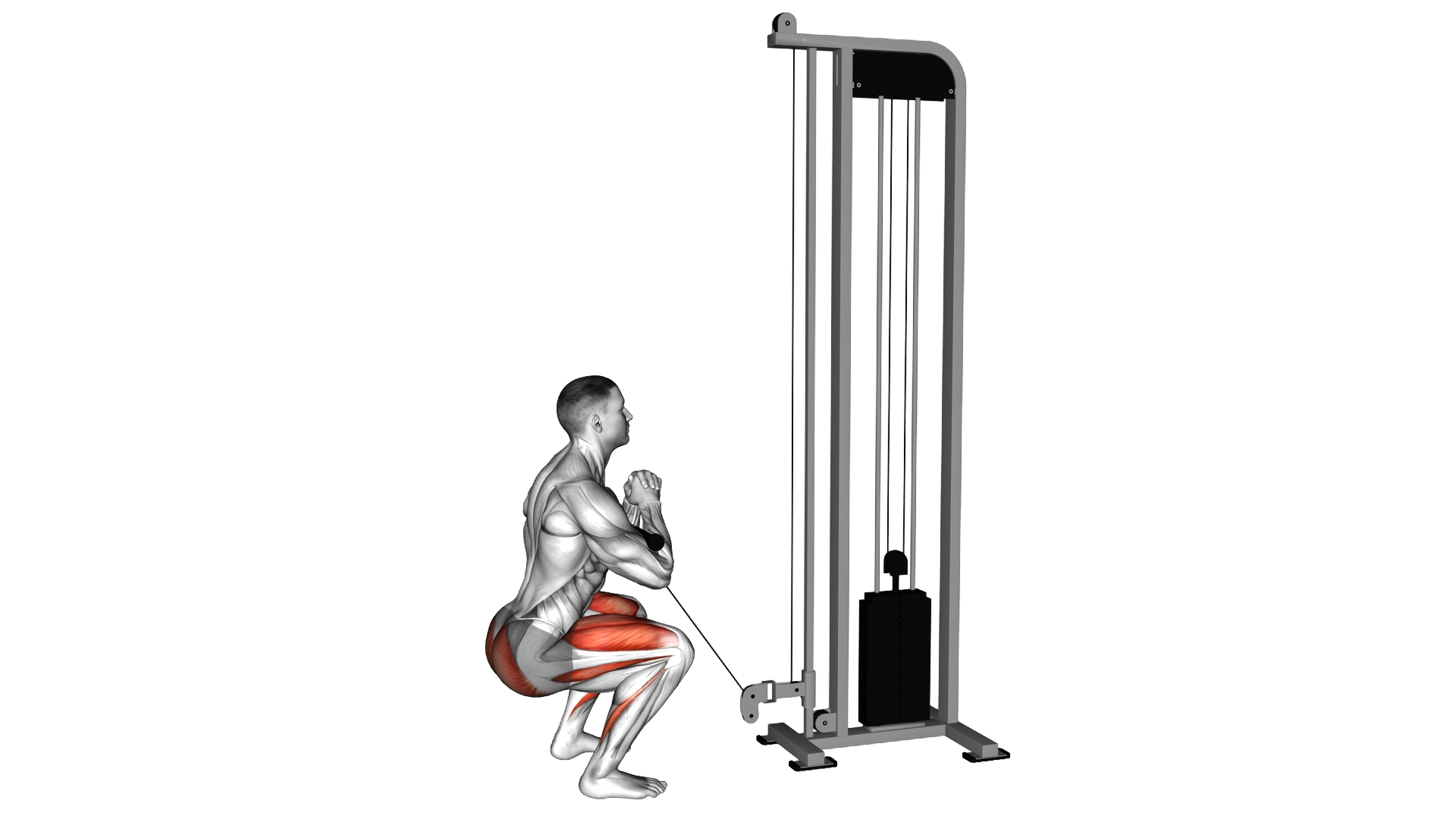 Cable Zercher Squat exercise demonstration