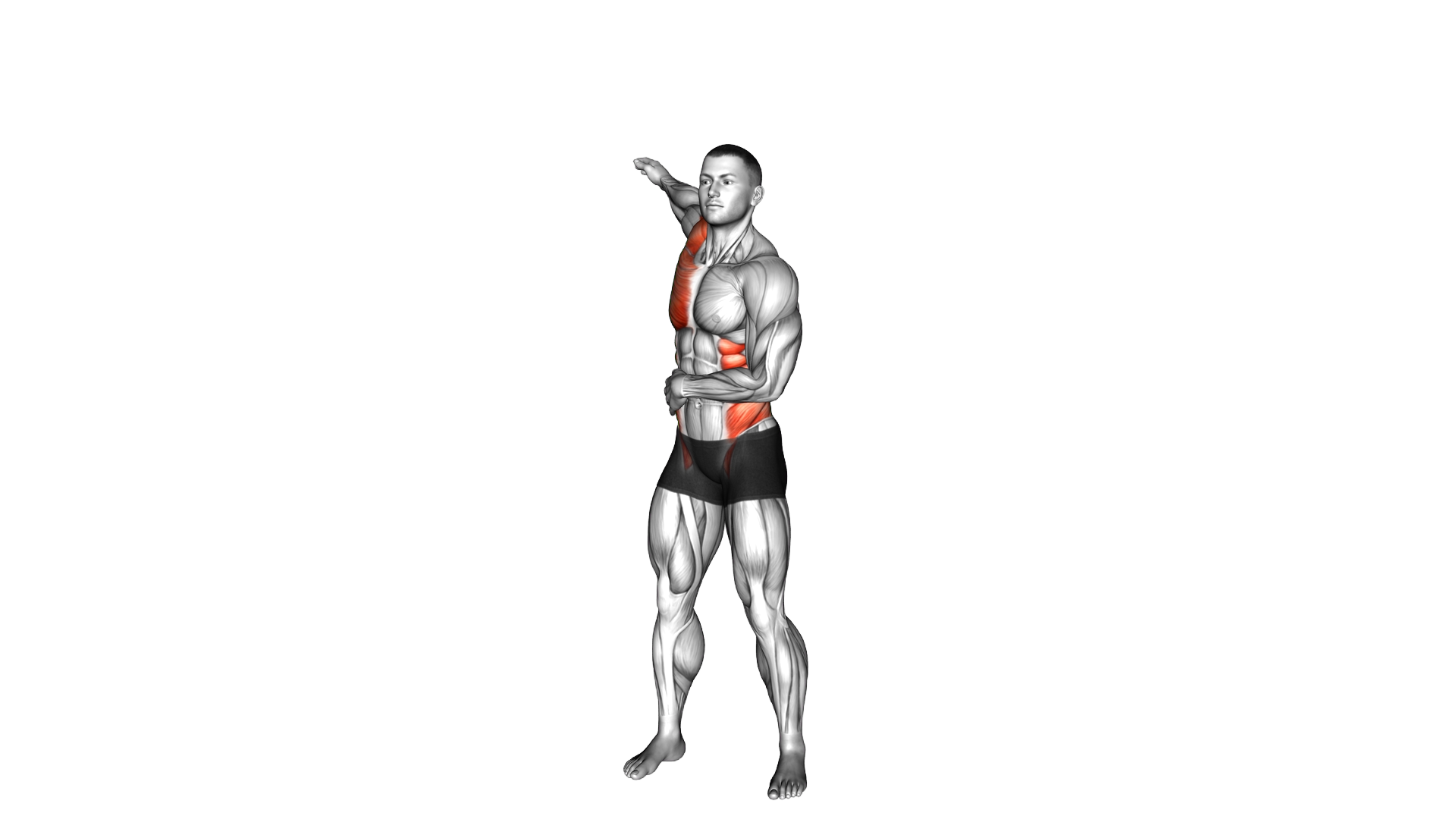 Standing Single Arm Circle with Torso Twist exercise demonstration