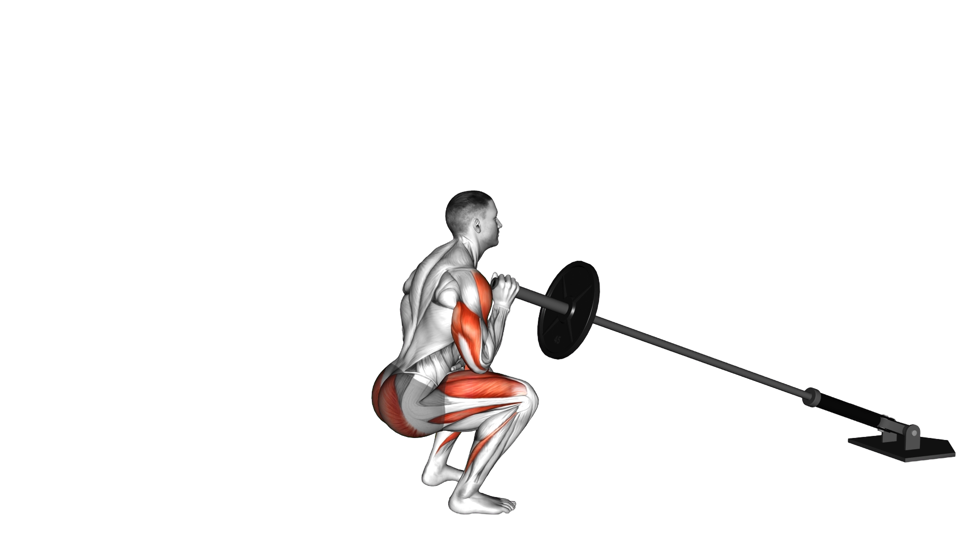 Landmine Single Arm Shoulder Press Squat exercise demonstration