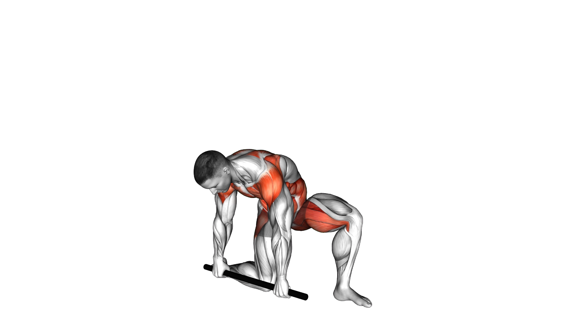 Stick Half Kneeling Flexion Extension Rotation (ma exercise demonstration