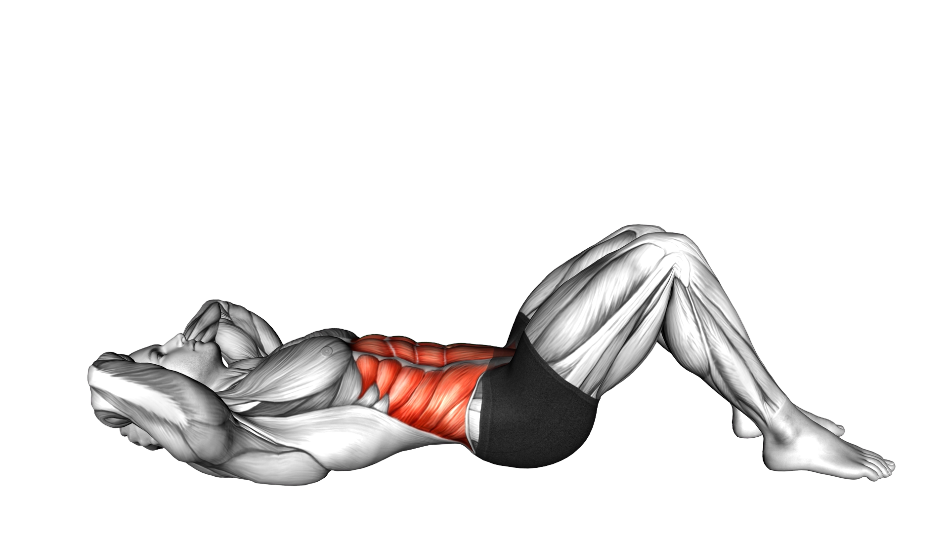 Lying Alternating Crunch and Twist exercise demonstration
