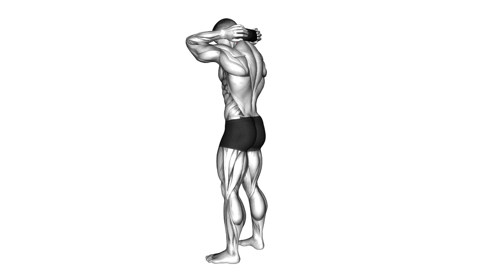 Roll Standing Neck exercise demonstration