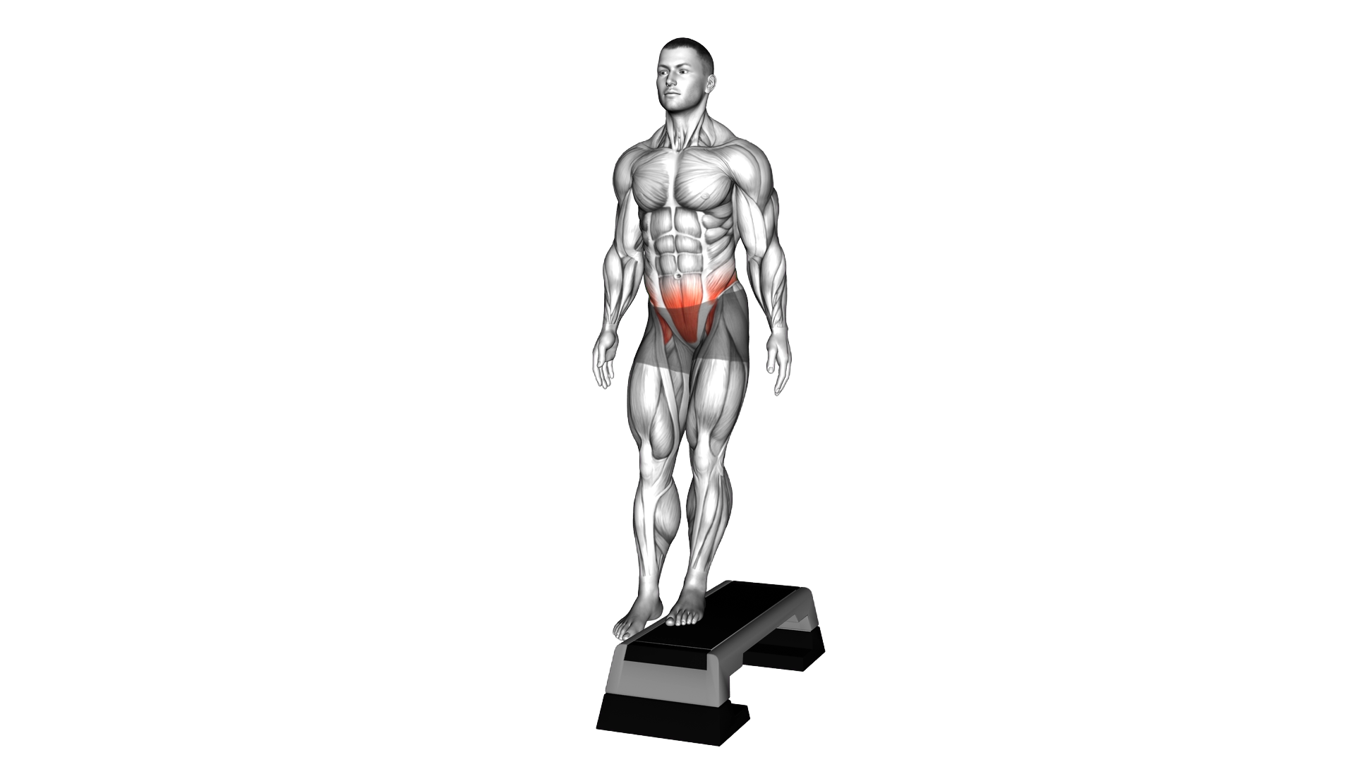 Standing Pelvic Lift exercise demonstration