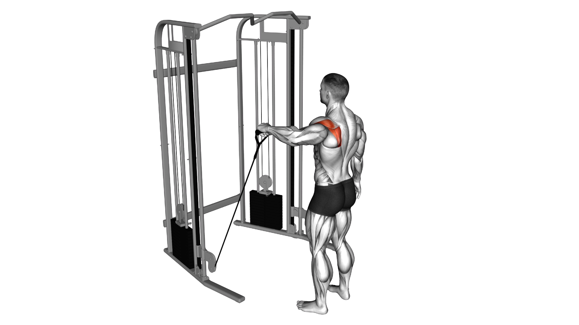Cable Low Shoulder 90 degrees External Rotation exercise demonstration