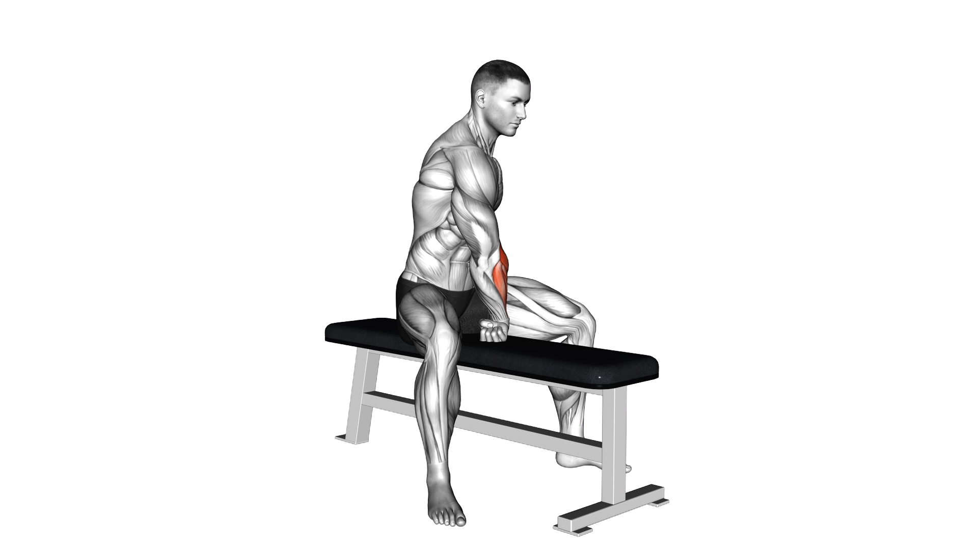 Sitting Single Arm Wrist Extensors Stretch exercise demonstration