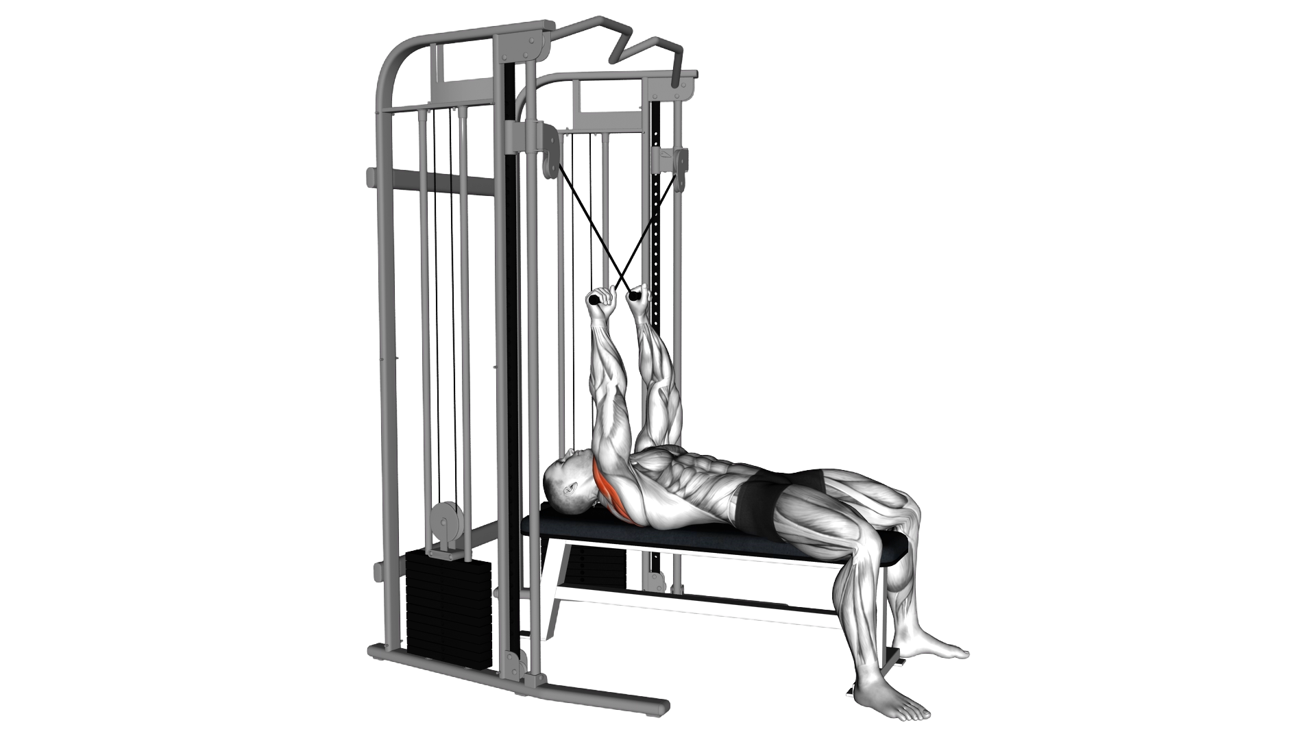 Cable Lying Reverse Fly exercise demonstration