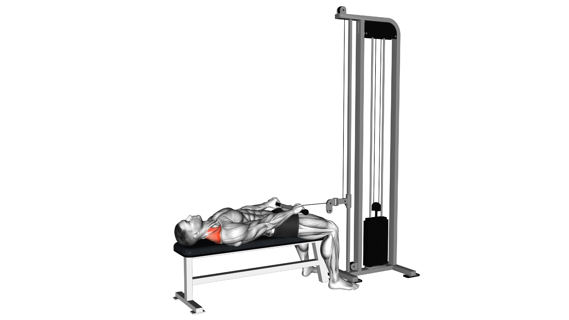 Cable Lying Shrug exercise demonstration