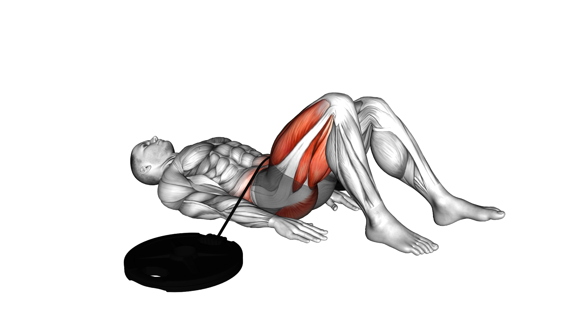 Band Single Leg Hip Lift exercise demonstration