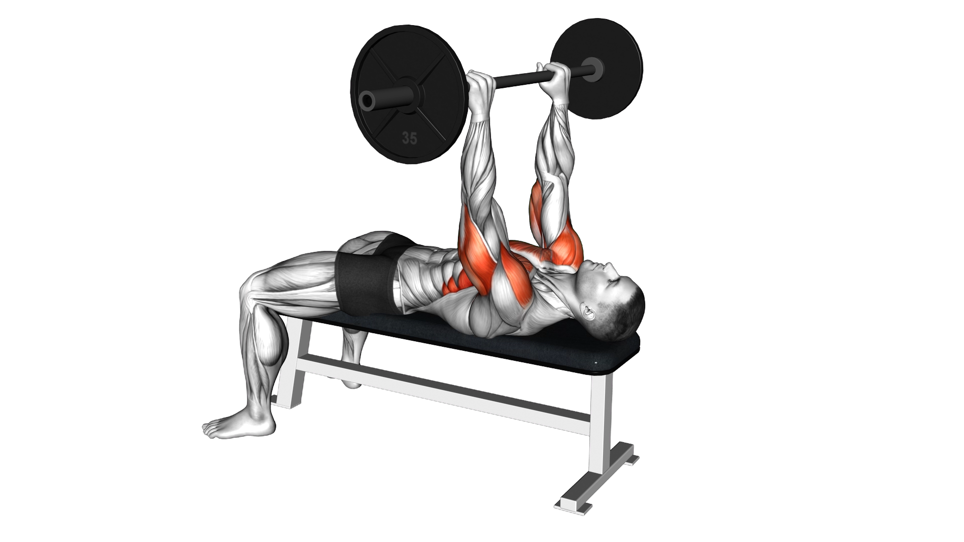 Barbell California Press exercise demonstration