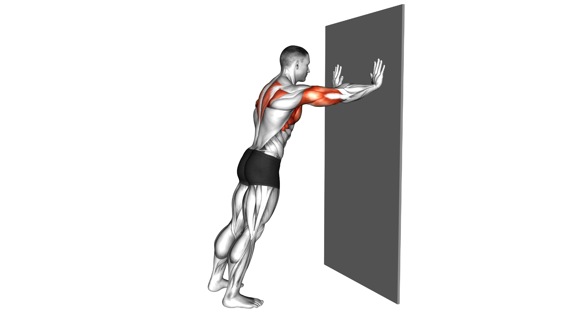 Wall Push up to Back Clap exercise demonstration
