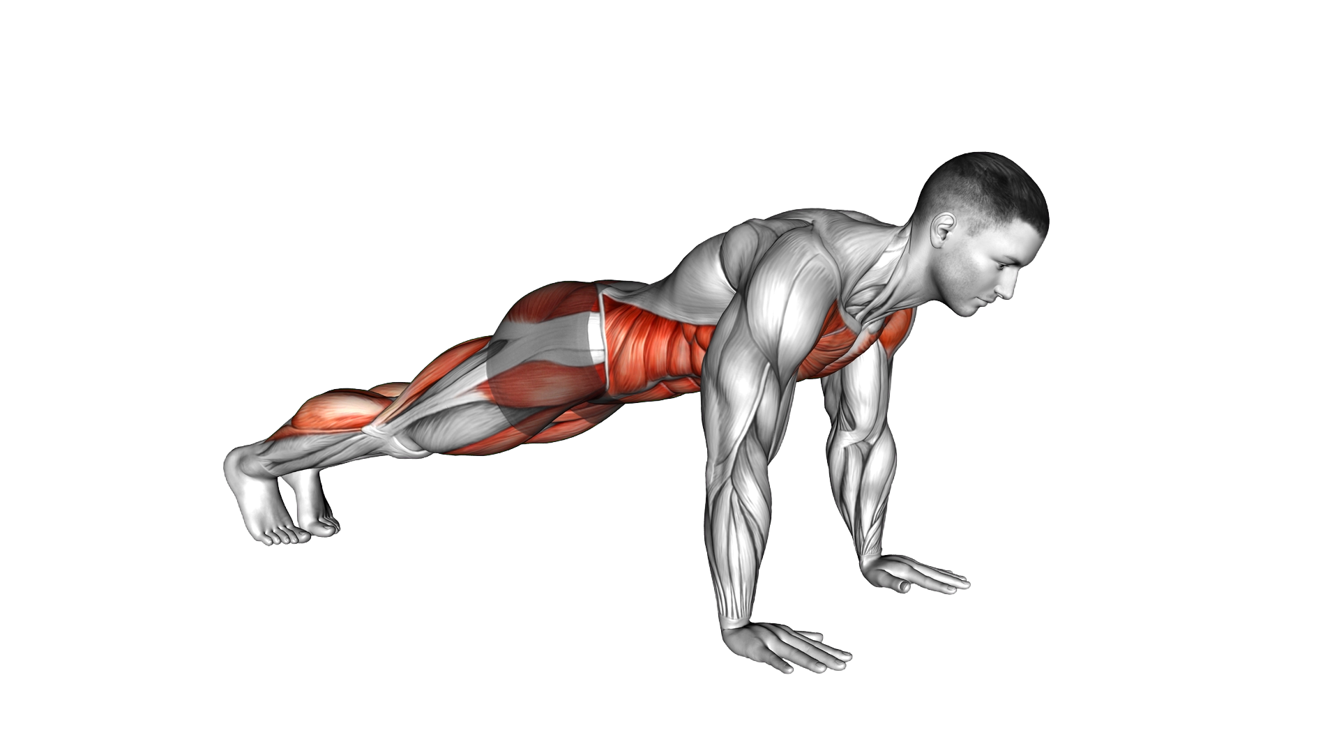 Spiderman Front Plank exercise demonstration