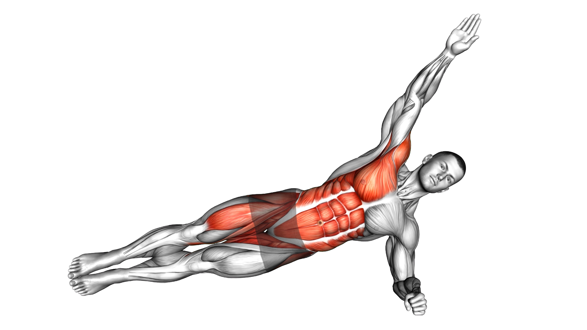 Side Plank Toe Tap exercise demonstration