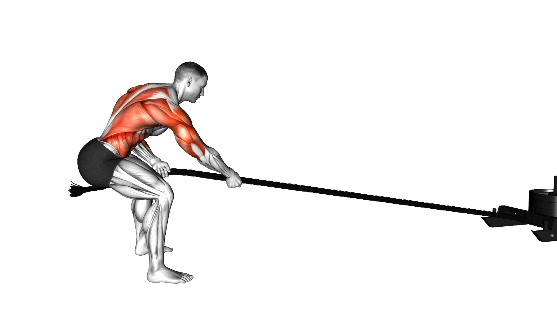 Power Sled Pull exercise demonstration