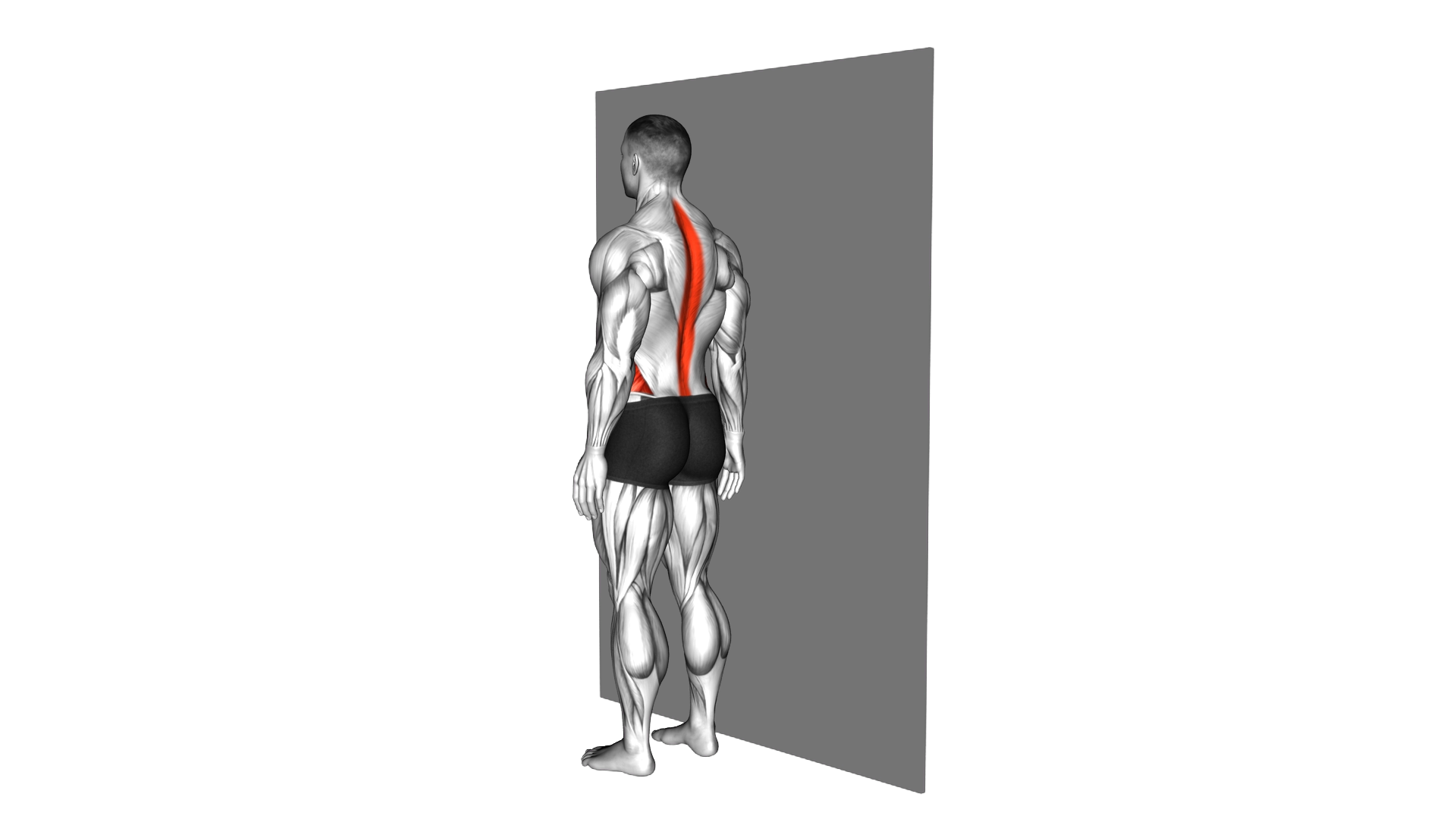 Standing Spinal Rotation Stretch against Wall exercise demonstration