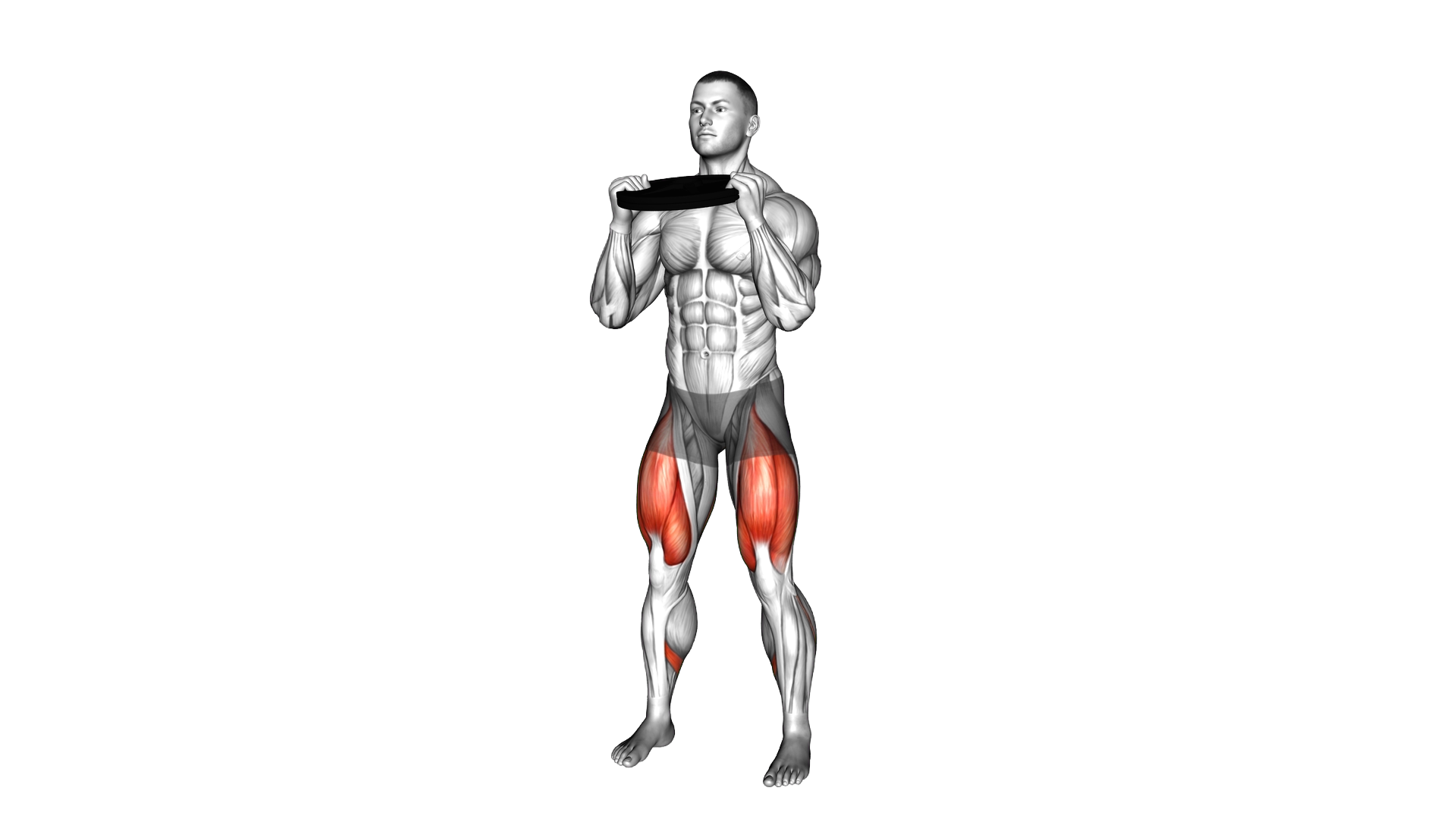 Weighted Plate Squat exercise demonstration