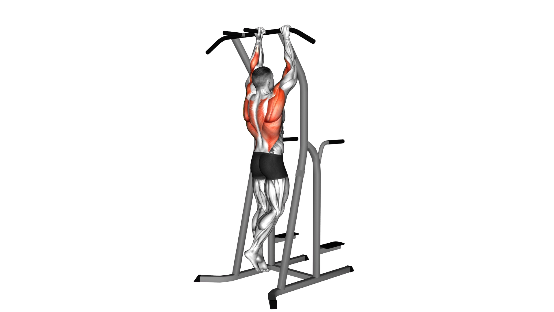Dual grip Pull up exercise demonstration