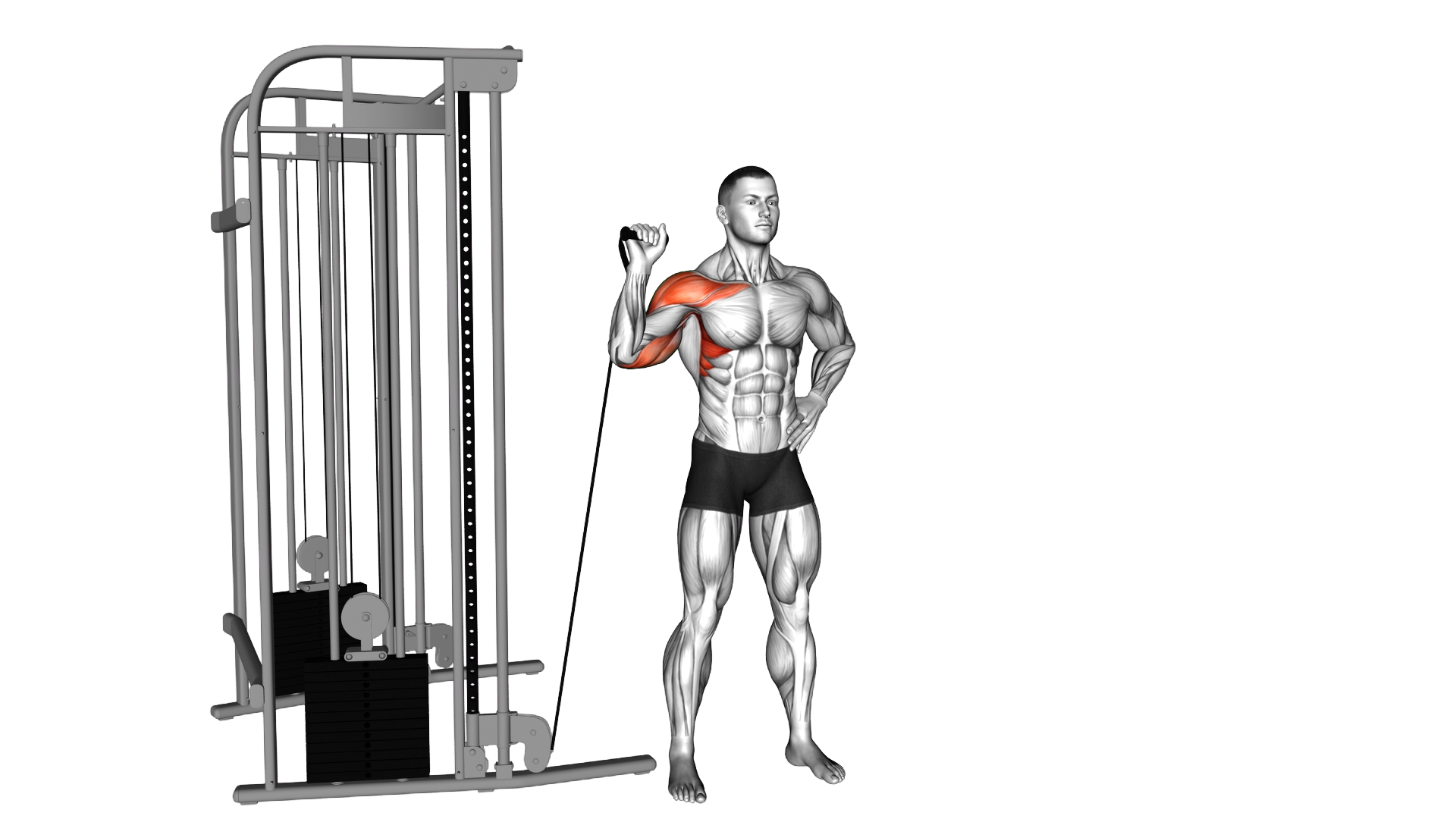Cable Single Arm Military Press exercise demonstration