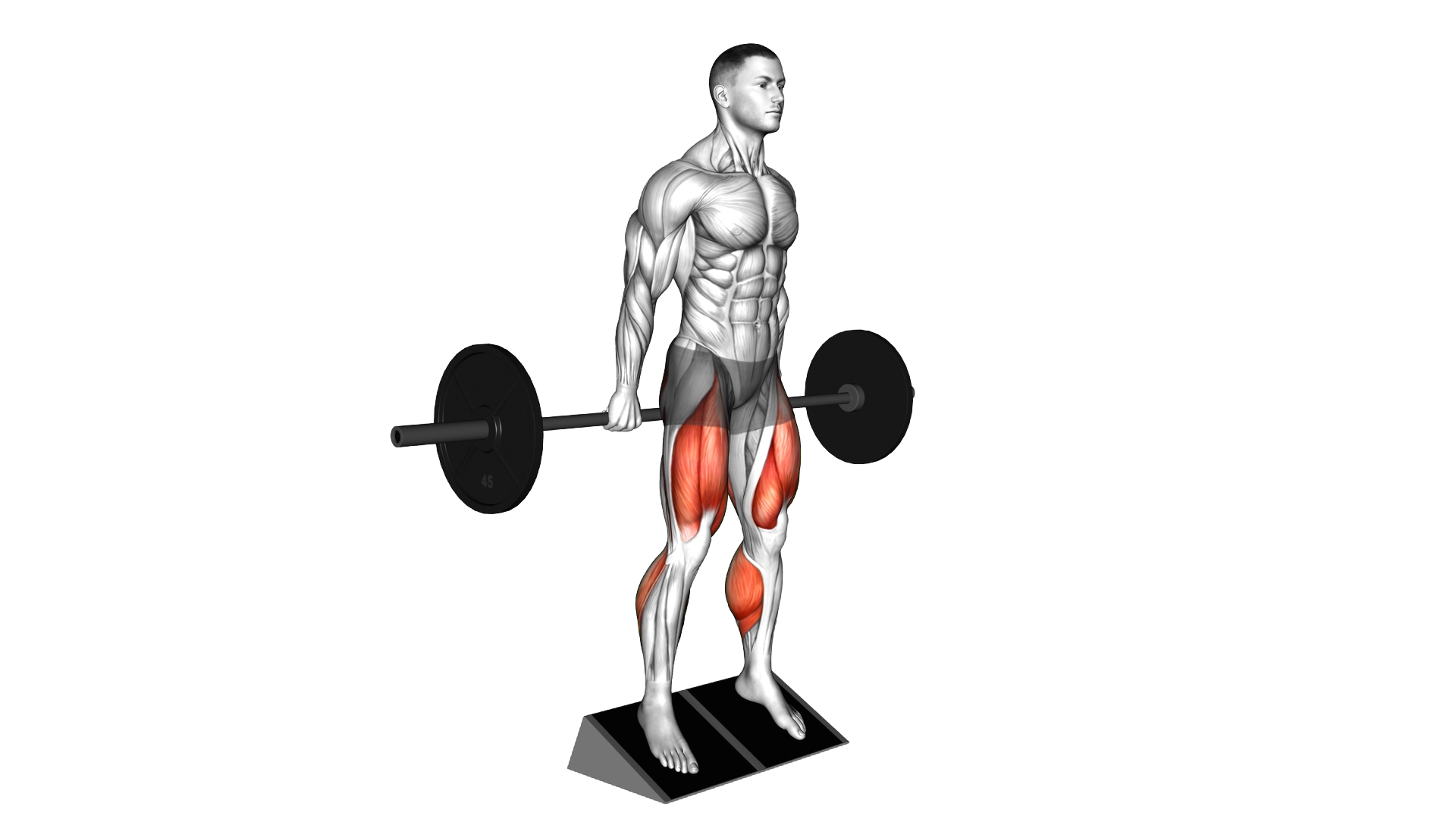 Barbell Elevated Hack Squat exercise demonstration