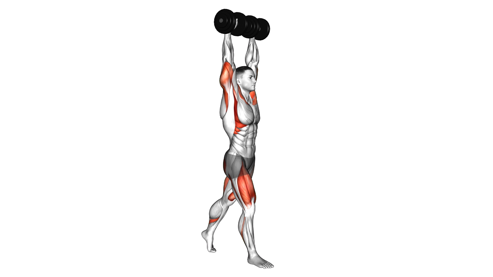 Dumbbell Overhead Split Squat exercise demonstration