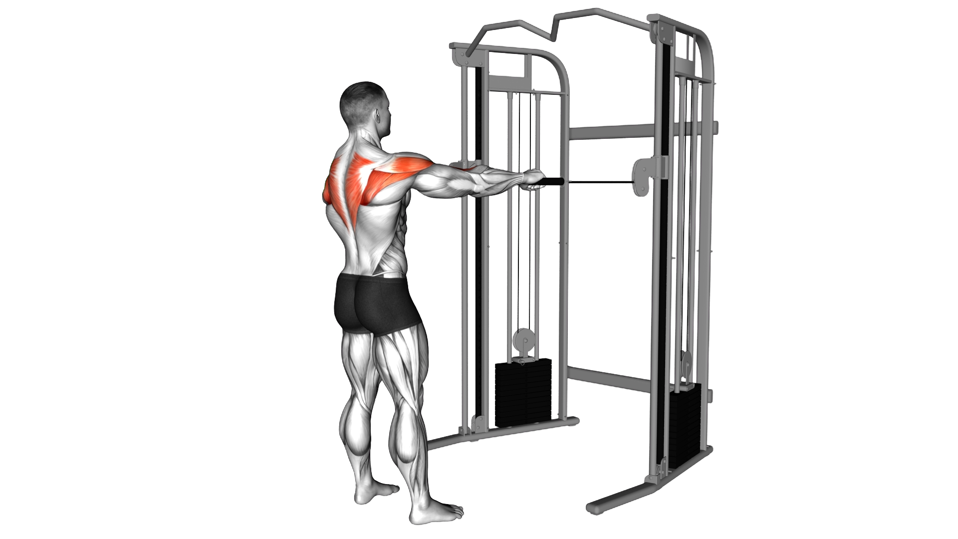 Cable Standing Rear Delt Row exercise demonstration