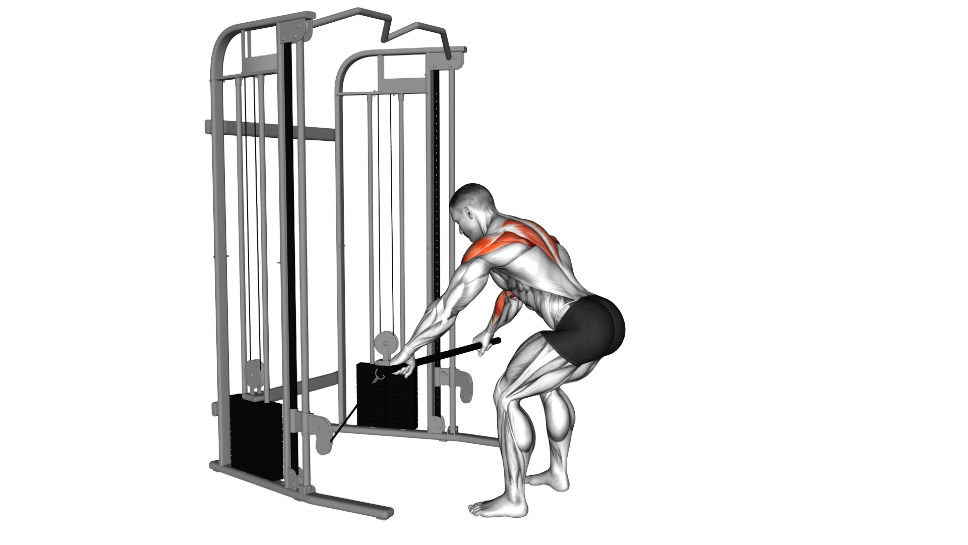 Cable Bent over Contralateral Rear Delt Row exercise demonstration