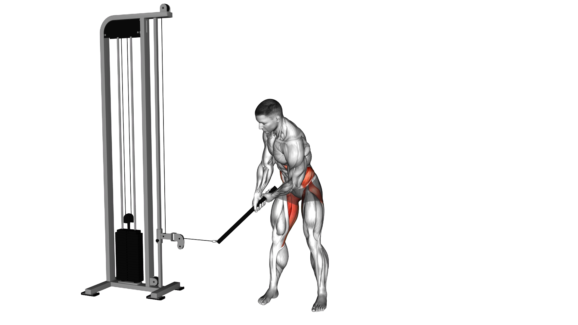 Cable Bent Over Golf Swing Pull Torso Rotation (ma exercise demonstration