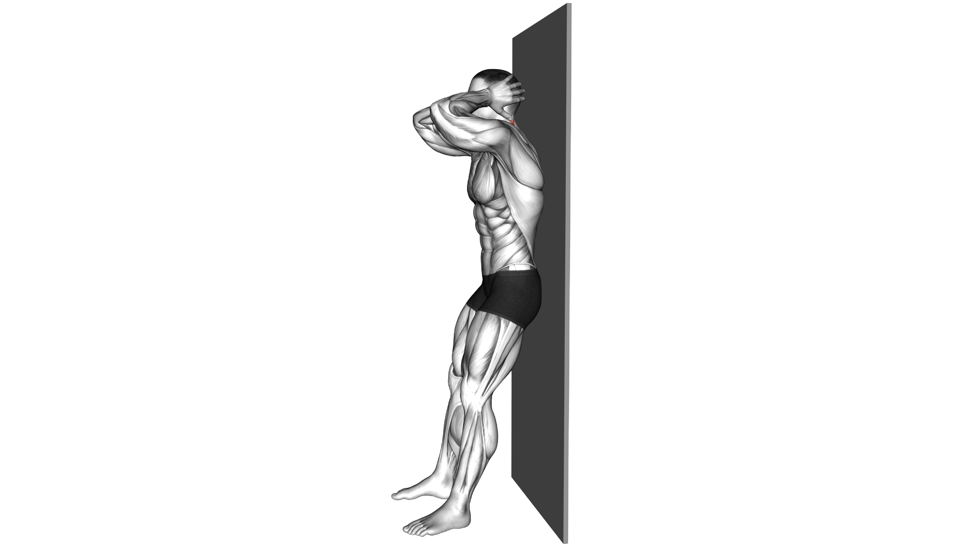 Standing Back Neck Stretch exercise demonstration