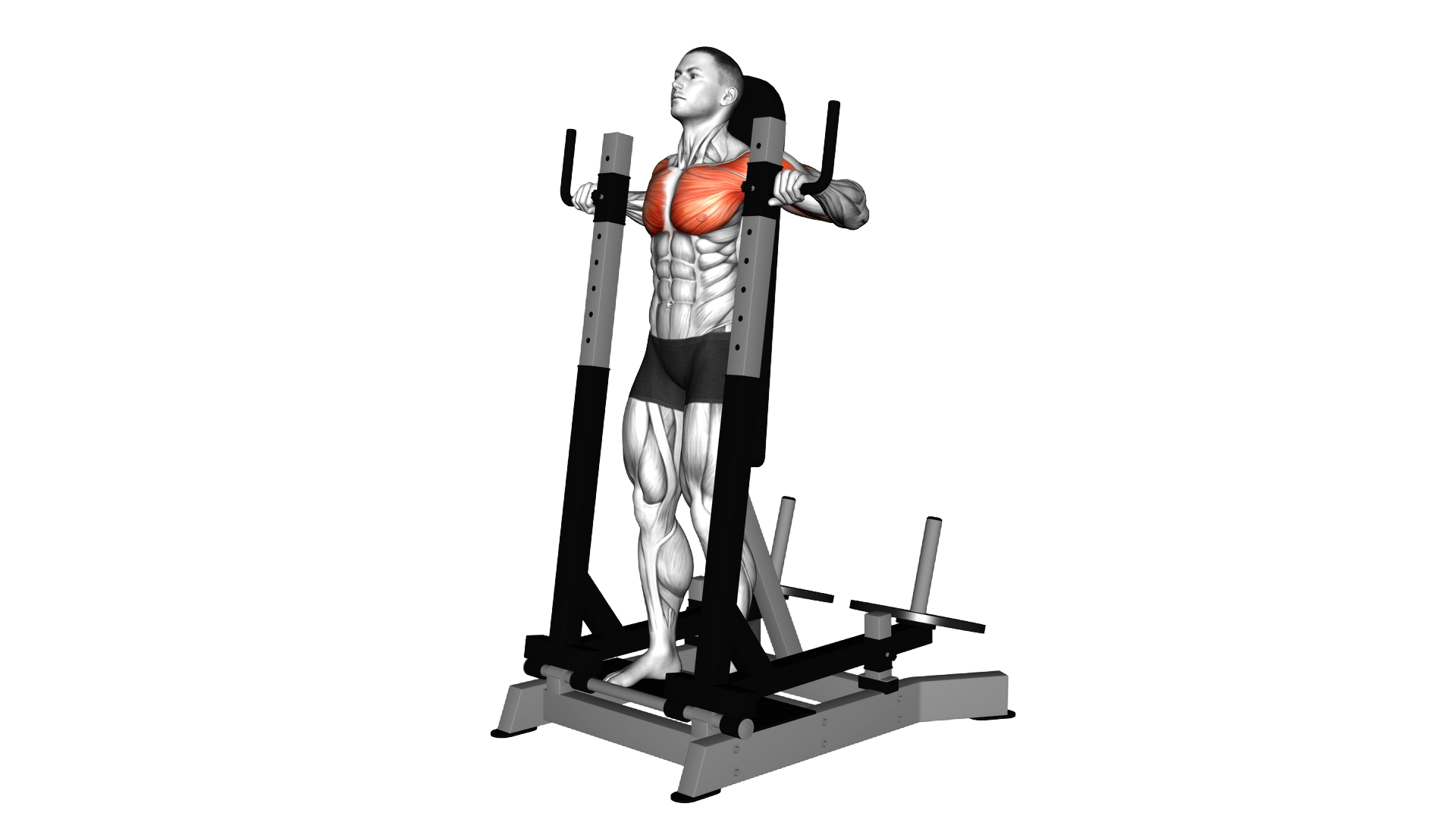 Lever Standing Chest Press exercise demonstration