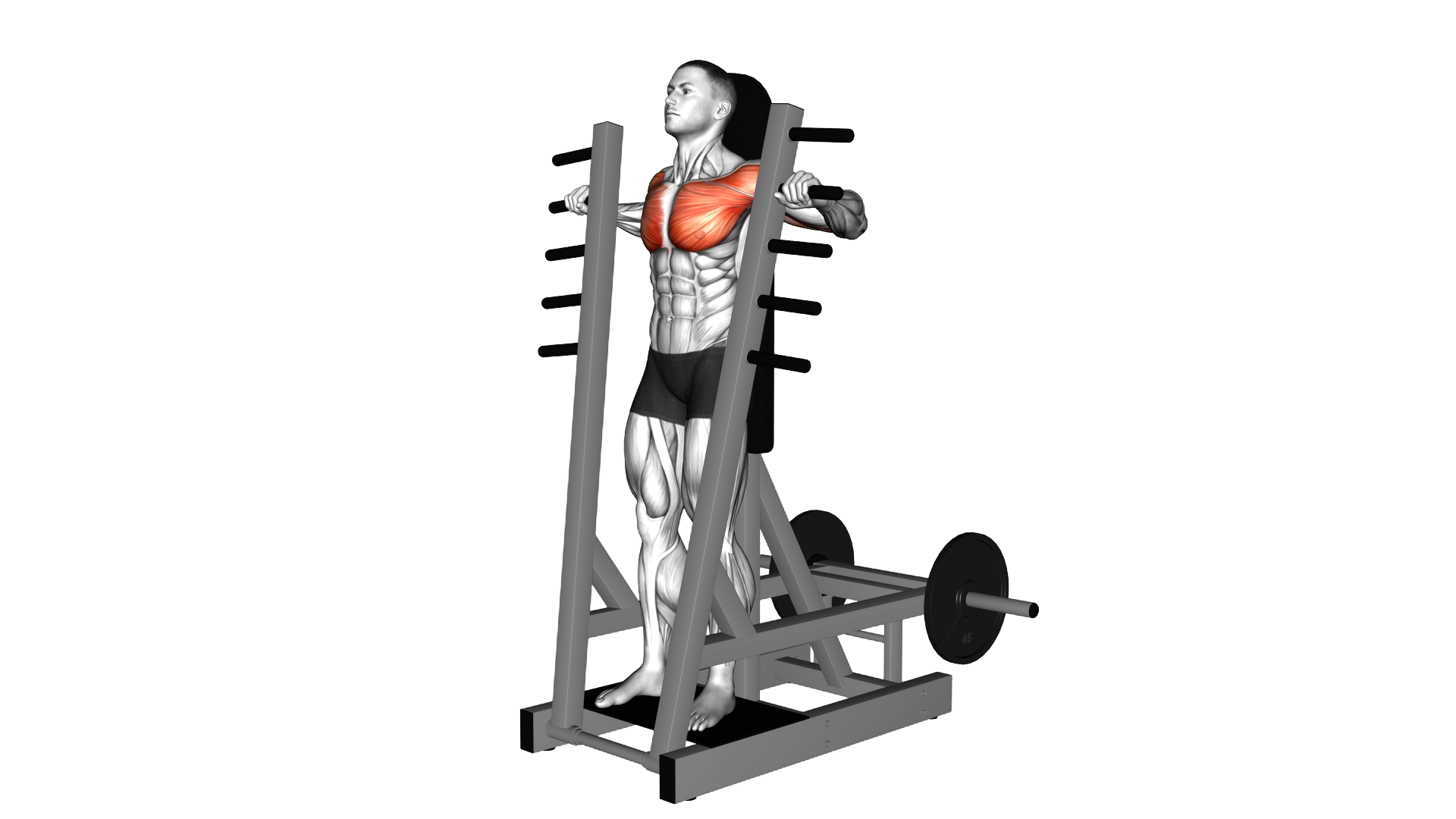 Lever Standing Chest Press exercise demonstration