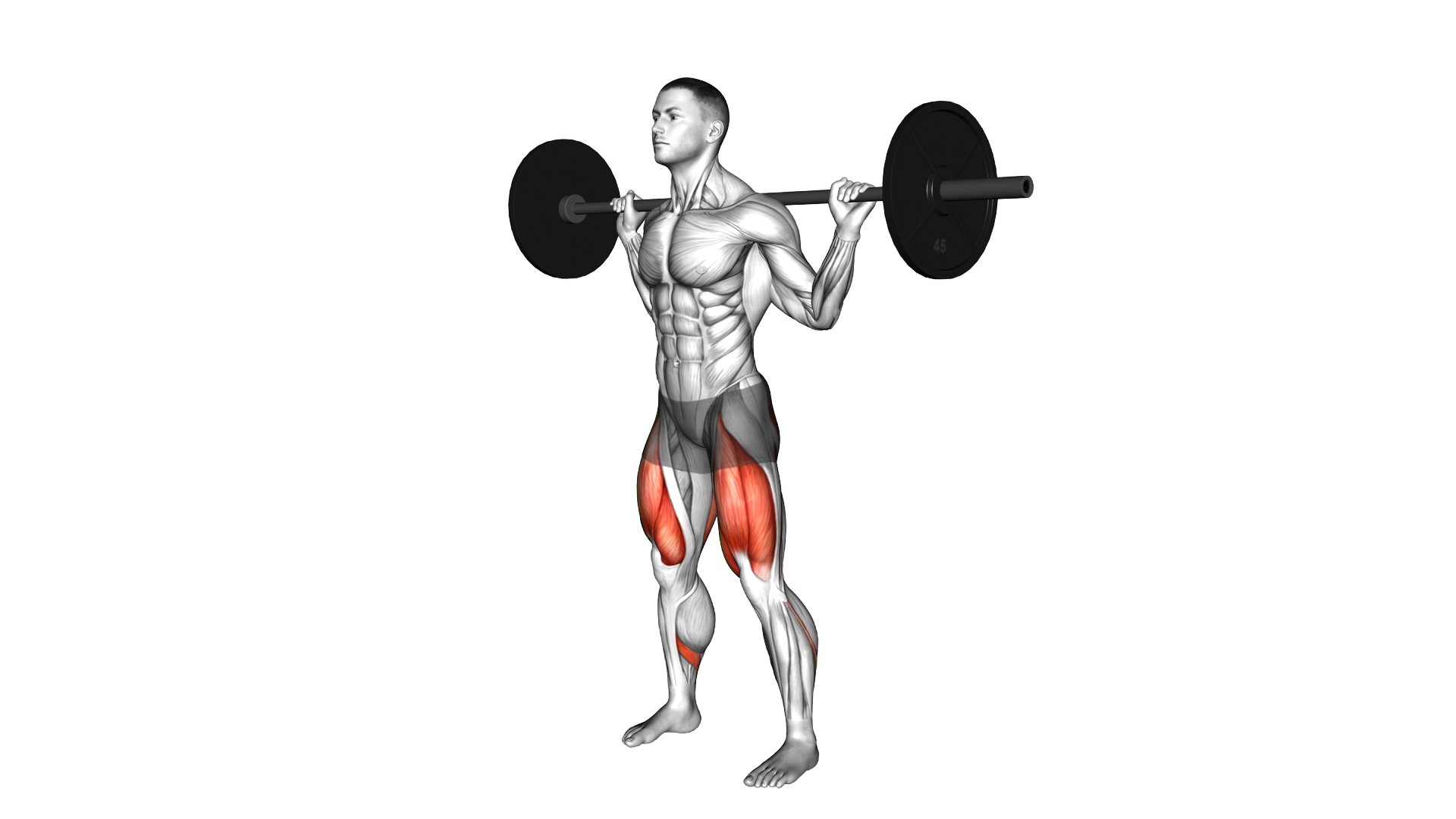 Barbell Pulse Squat exercise demonstration