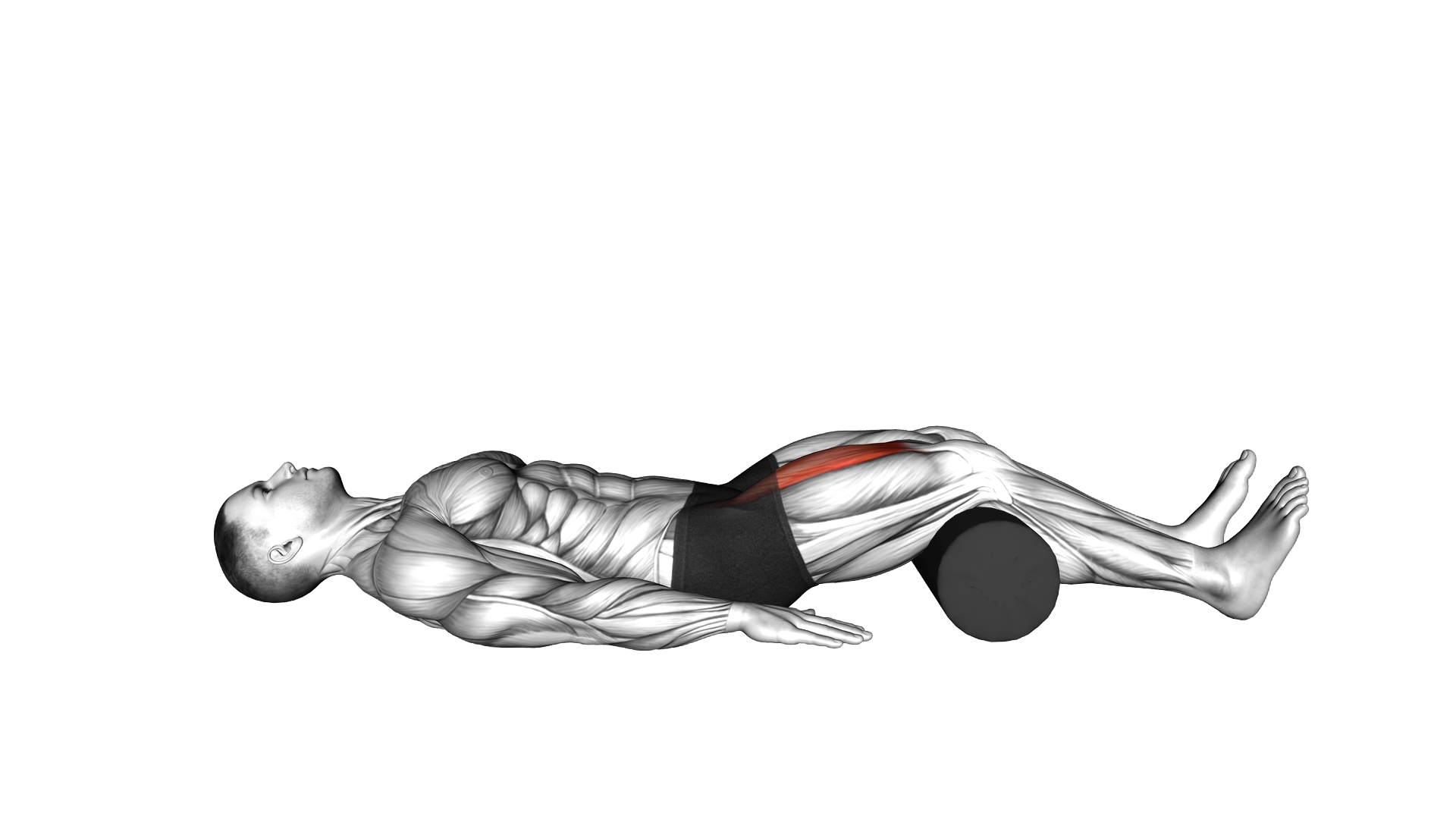 Lying Supine Knee Extension exercise demonstration